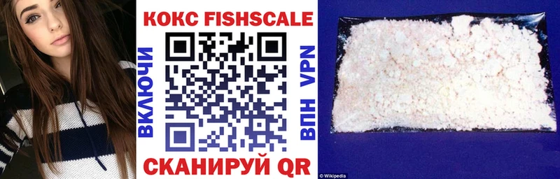 Купить закладки  Можайск  Cocaine FishScale 