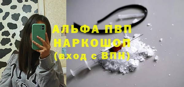 стафф Зеленокумск