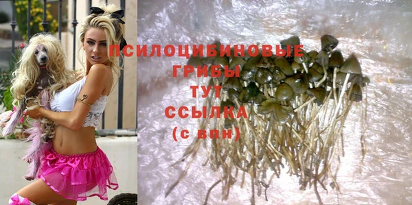 дмт Зерноград