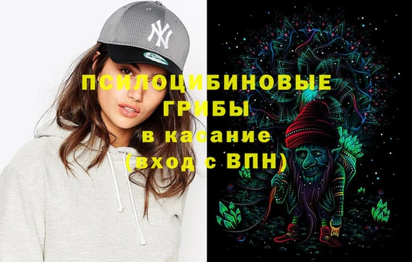 МДПВ Зеленодольск