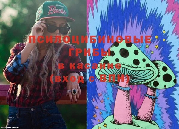 стафф Зеленокумск